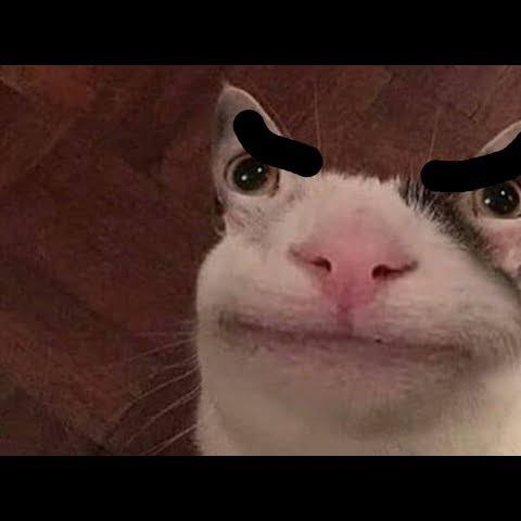 Avatar von Hytex1337