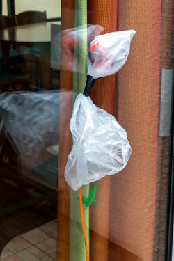 Kabel am Fenster